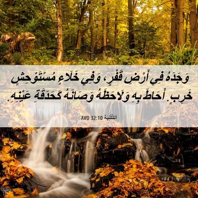 Picture 06 - اَلتَّثْنِيَة 32:10 AVD - وَجَدَهُ فِي أَرْضِ - Bible Verse Picture