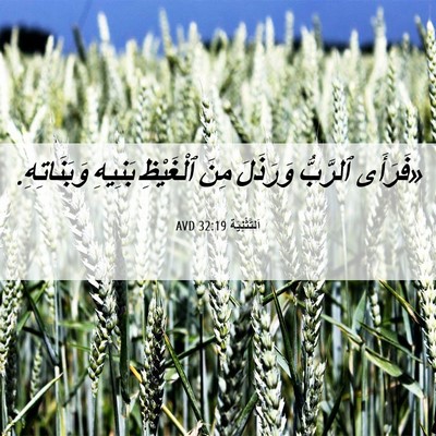 Picture 06 - اَلتَّثْنِيَة 32:19 AVD - «فَرَأَى ٱلرَّبُّ - Bible Verse Picture