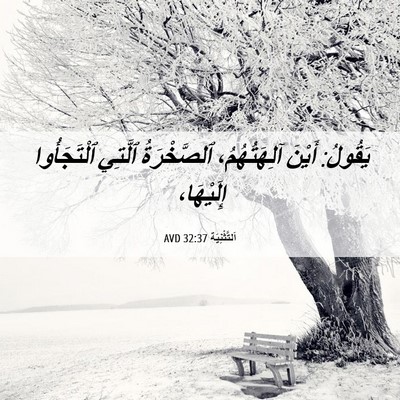 Picture 06 - اَلتَّثْنِيَة 32:37 AVD - يَقُولُ: أَيْنَ - Bible Verse Picture
