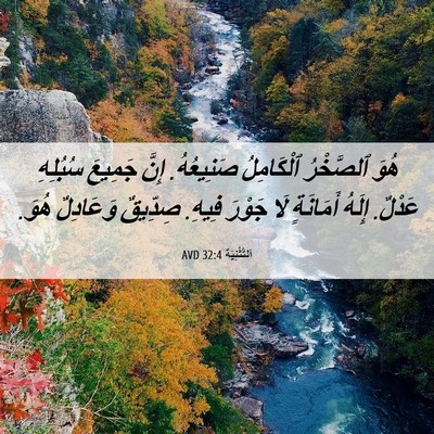 Picture 06 - اَلتَّثْنِيَة 32:4 AVD - هُوَ ٱلصَّخْرُ ٱلْكَامِلُ - Bible Verse Picture