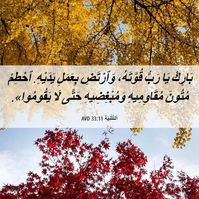 Picture 06 - اَلتَّثْنِيَة 33:11 AVD - بَارِكْ يَا رَبُّ - Bible Verse Picture