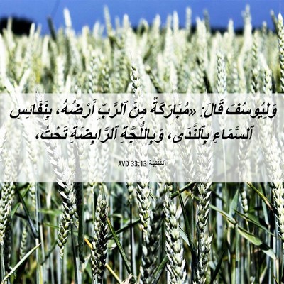 Picture 06 - اَلتَّثْنِيَة 33:13 AVD - وَلِيُوسُفَ قَالَ: - Bible Verse Picture