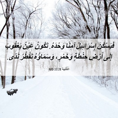 Picture 06 - اَلتَّثْنِيَة 33:28 AVD - فَيَسْكُنَ إِسْرَائِيلُ - Bible Verse Picture