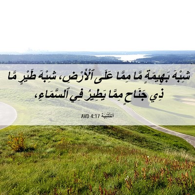 Picture 06 - اَلتَّثْنِيَة 4:17 AVD - شِبْهَ بَهِيمَةٍ مَّا - Bible Verse Picture