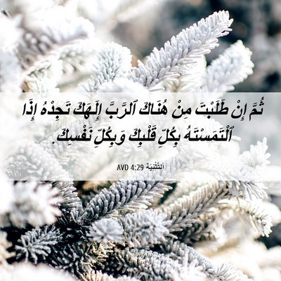 Picture 06 - اَلتَّثْنِيَة 4:29 AVD - ثُمَّ إِنْ طَلَبْتَ مِنْ - Bible Verse Picture
