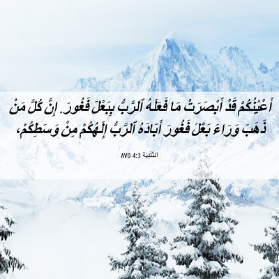 Picture 06 - اَلتَّثْنِيَة 4:3 AVD - أَعْيُنُكُمْ قَدْ - Bible Verse Picture