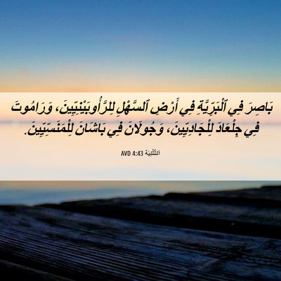 Picture 06 - اَلتَّثْنِيَة 4:43 AVD - بَاصِرَ فِي ٱلْبَرِّيَّةِ - Bible Verse Picture