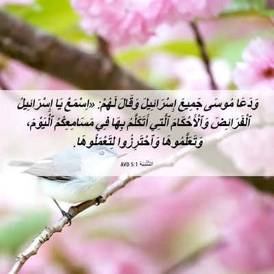 Picture 06 - اَلتَّثْنِيَة 5:1 AVD - وَدَعَا مُوسَى جَمِيعَ - Bible Verse Picture