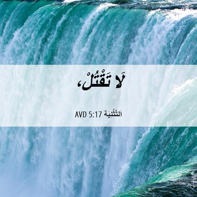 Picture 06 - اَلتَّثْنِيَة 5:17 AVD - لَا - Bible Verse Picture