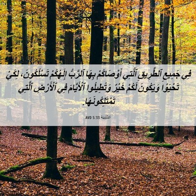 Picture 06 - اَلتَّثْنِيَة 5:33 AVD - فِي جَمِيعِ ٱلطَّرِيقِ - Bible Verse Picture