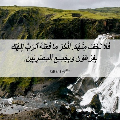 Picture 06 - اَلتَّثْنِيَة 7:18 AVD - فَلَا تَخَفْ مِنْهُمُ. - Bible Verse Picture