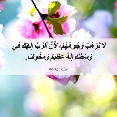 Picture 06 - اَلتَّثْنِيَة 7:21 AVD - لَا تَرْهَبْ وُجُوهَهُمْ، - Bible Verse Picture