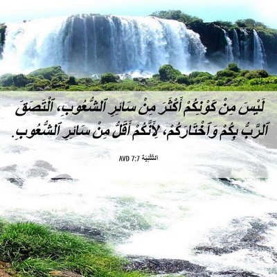 Picture 06 - اَلتَّثْنِيَة 7:7 AVD - لَيْسَ مِنْ كَوْنِكُمْ - Bible Verse Picture