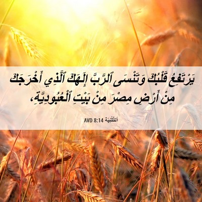 Picture 06 - اَلتَّثْنِيَة 8:14 AVD - يَرْتَفِعُ قَلْبُكَ - Bible Verse Picture