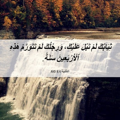 Picture 06 - اَلتَّثْنِيَة 8:4 AVD - ثِيَابُكَ لَمْ تَبْلَ - Bible Verse Picture