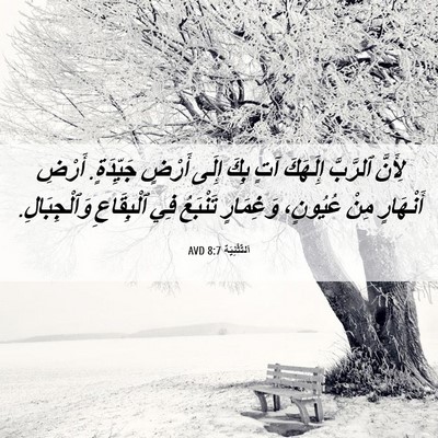 Picture 06 - اَلتَّثْنِيَة 8:7 AVD - لِأَنَّ ٱلرَّبَّ إِلَهَكَ - Bible Verse Picture