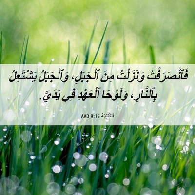 Picture 06 - اَلتَّثْنِيَة 9:15 AVD - فَٱنْصَرَفْتُ وَنَزَلْتُ - Bible Verse Picture