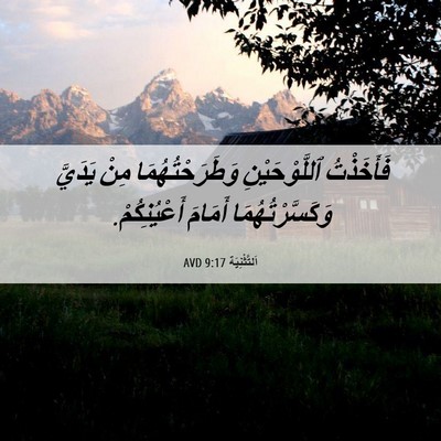 Picture 06 - اَلتَّثْنِيَة 9:17 AVD - فَأَخَذْتُ ٱللَّوْحَيْنِ - Bible Verse Picture