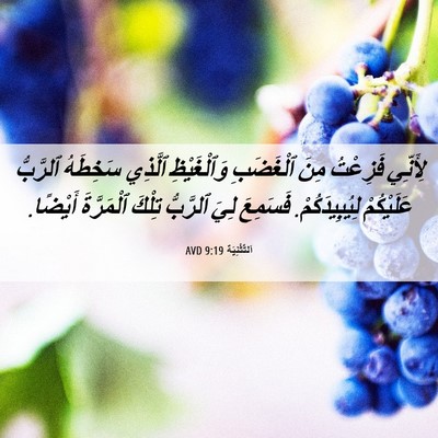 Picture 06 - اَلتَّثْنِيَة 9:19 AVD - لِأَنِّي فَزِعْتُ مِنَ - Bible Verse Picture