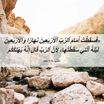 Picture 06 - اَلتَّثْنِيَة 9:25 AVD - «فَسَقَطْتُ أَمَامَ - Bible Verse Picture