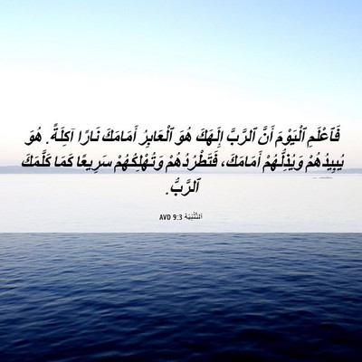 Picture 06 - اَلتَّثْنِيَة 9:3 AVD - فَٱعْلَمِ ٱلْيَوْمَ أَنَّ - Bible Verse Picture