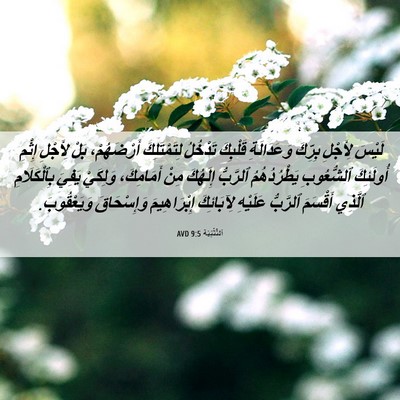 Picture 06 - اَلتَّثْنِيَة 9:5 AVD - لَيْسَ لِأَجْلِ بِرِّكَ - Bible Verse Picture