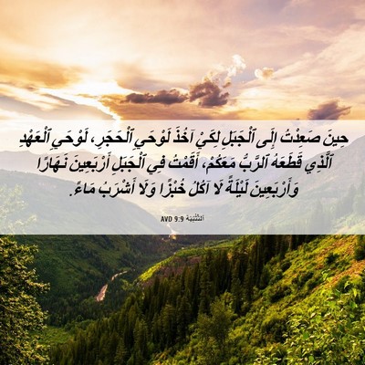Picture 06 - اَلتَّثْنِيَة 9:9 AVD - حِينَ صَعِدْتُ إِلَى - Bible Verse Picture