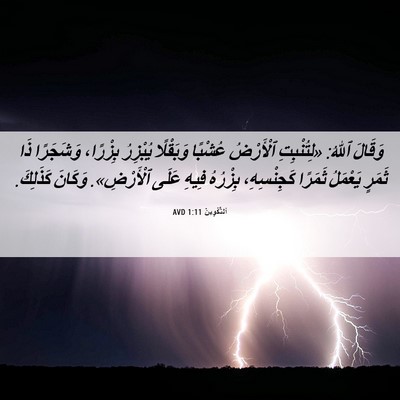 Picture 06 - اَلتَّكْوِينُ 1:11 AVD - وَقَالَ ٱللهُ: «لِتُنْبِتِ - Bible Verse Picture