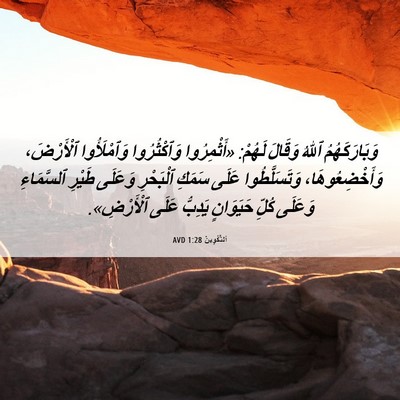 Picture 06 - اَلتَّكْوِينُ 1:28 AVD - وَبَارَكَهُمُ ٱللهُ - Bible Verse Picture