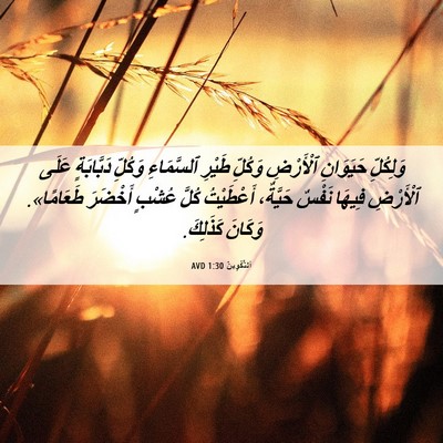 Picture 06 - اَلتَّكْوِينُ 1:30 AVD - وَلِكُلِّ حَيَوَانِ - Bible Verse Picture