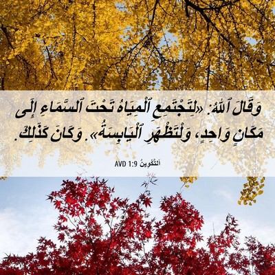 Picture 06 - اَلتَّكْوِينُ 1:9 AVD - وَقَالَ ٱللهُ: - Bible Verse Picture