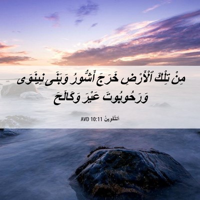 Picture 06 - اَلتَّكْوِينُ 10:11 AVD - مِنْ تِلْكَ ٱلْأَرْضِ - Bible Verse Picture