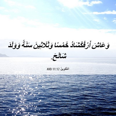 Picture 06 - اَلتَّكْوِينُ 11:12 AVD - وَعَاشَ أَرْفَكْشَادُ - Bible Verse Picture