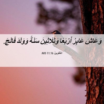 Picture 06 - اَلتَّكْوِينُ 11:16 AVD - وَعَاشَ عَابِرُ أَرْبَعًا - Bible Verse Picture