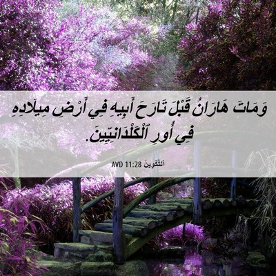 Picture 06 - اَلتَّكْوِينُ 11:28 AVD - وَمَاتَ هَارَانُ قَبْلَ - Bible Verse Picture