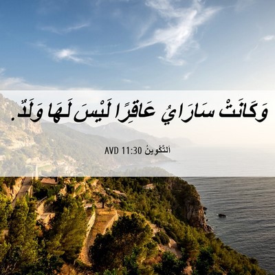 Picture 06 - اَلتَّكْوِينُ 11:30 AVD - وَكَانَتْ سَارَايُ - Bible Verse Picture