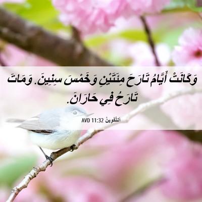 Picture 06 - اَلتَّكْوِينُ 11:32 AVD - وَكَانَتْ أَيَّامُ - Bible Verse Picture