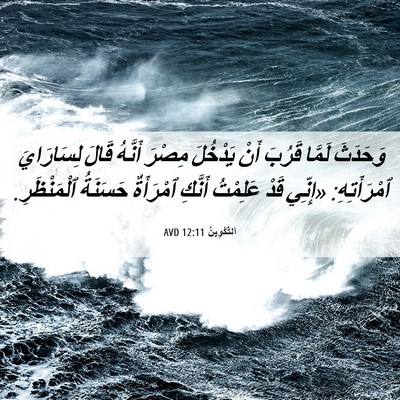 Picture 06 - اَلتَّكْوِينُ 12:11 AVD - وَحَدَثَ لَمَّا قَرُبَ - Bible Verse Picture