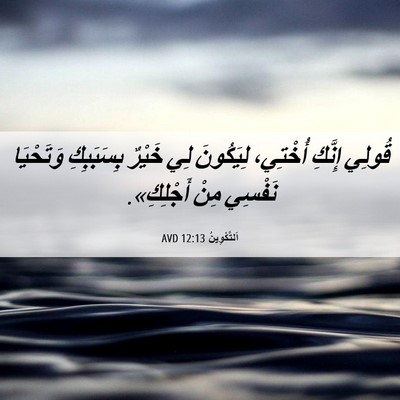Picture 06 - اَلتَّكْوِينُ 12:13 AVD - قُولِي إِنَّكِ أُخْتِي، - Bible Verse Picture