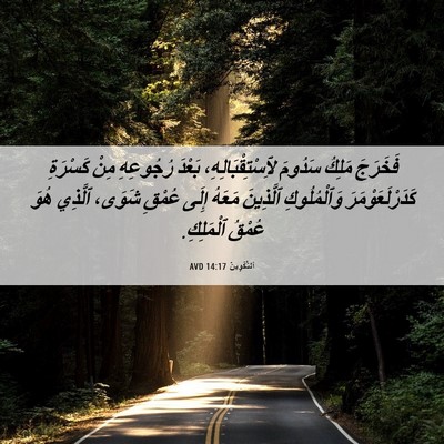 Picture 06 - اَلتَّكْوِينُ 14:17 AVD - فَخَرَجَ مَلِكُ سَدُومَ - Bible Verse Picture