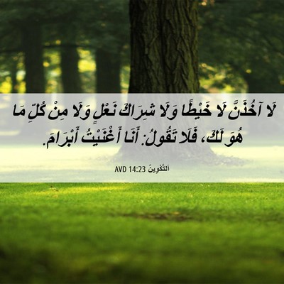 Picture 06 - اَلتَّكْوِينُ 14:23 AVD - لَا آخُذَنَّ لَا خَيْطًا - Bible Verse Picture