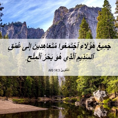 Picture 06 - اَلتَّكْوِينُ 14:3 AVD - جَمِيعُ هَؤُلَاءِ - Bible Verse Picture