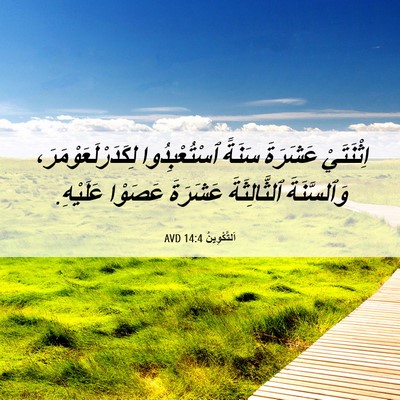 Picture 06 - اَلتَّكْوِينُ 14:4 AVD - اِثْنَتَيْ عَشَرَةَ - Bible Verse Picture