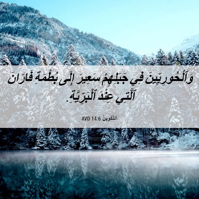 Picture 06 - اَلتَّكْوِينُ 14:6 AVD - وَٱلْحُورِيِّينَ فِي - Bible Verse Picture