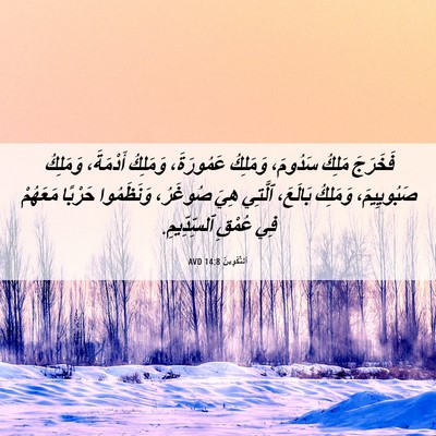 Picture 06 - اَلتَّكْوِينُ 14:8 AVD - فَخَرَجَ مَلِكُ سَدُومَ، - Bible Verse Picture