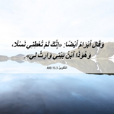 Picture 06 - اَلتَّكْوِينُ 15:3 AVD - وَقَالَ أَبْرَامُ أَيْضًا: - Bible Verse Picture