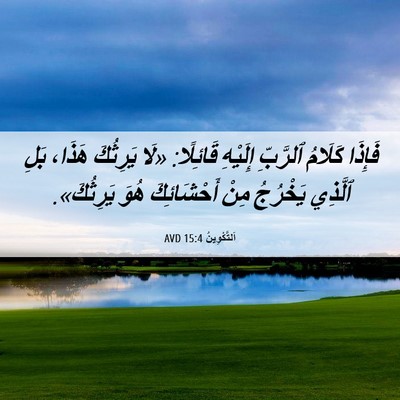 Picture 06 - اَلتَّكْوِينُ 15:4 AVD - فَإِذَا كَلَامُ ٱلرَّبِّ - Bible Verse Picture