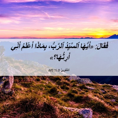 Picture 06 - اَلتَّكْوِينُ 15:8 AVD - فَقَالَ: «أَيُّهَا - Bible Verse Picture