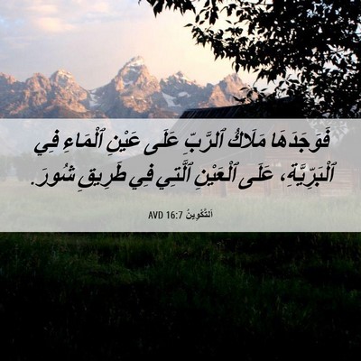 Picture 06 - اَلتَّكْوِينُ 16:7 AVD - فَوَجَدَهَا مَلَاكُ - Bible Verse Picture
