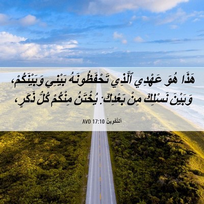 Picture 06 - اَلتَّكْوِينُ 17:10 AVD - هَذَا هُوَ عَهْدِي ٱلَّذِي - Bible Verse Picture